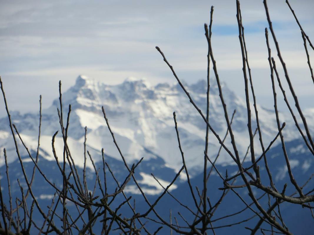 Maison Familiale A Montreux Avec Vue Sur Le Lac Villa Eksteriør bilde