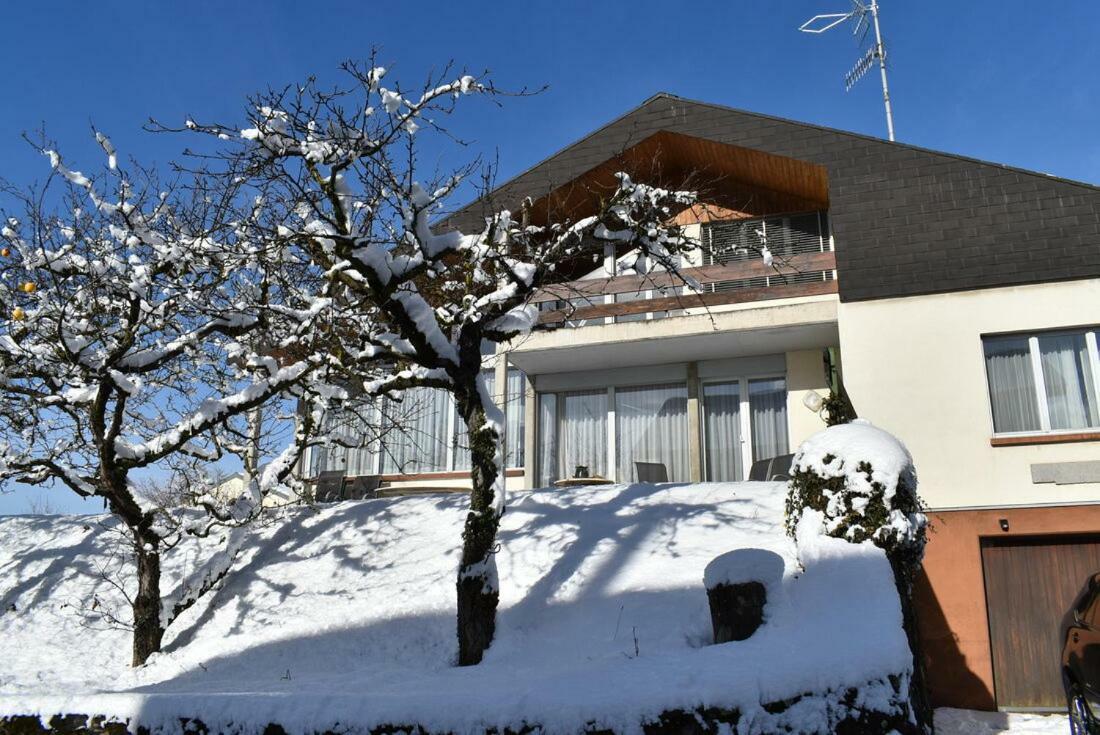 Maison Familiale A Montreux Avec Vue Sur Le Lac Villa Eksteriør bilde