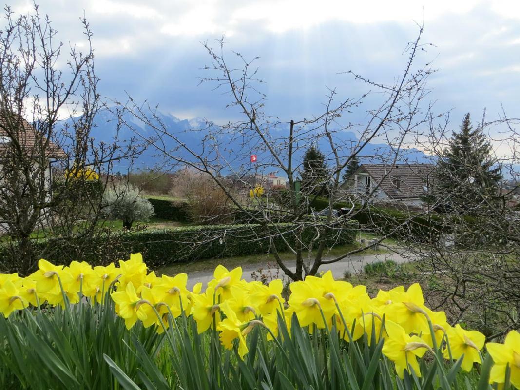 Maison Familiale A Montreux Avec Vue Sur Le Lac Villa Eksteriør bilde