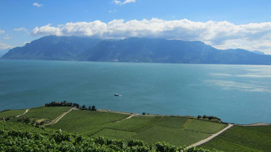 Maison Familiale A Montreux Avec Vue Sur Le Lac Villa Eksteriør bilde