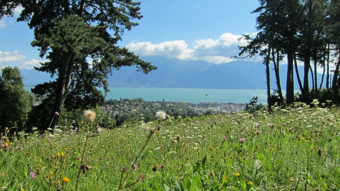 Maison Familiale A Montreux Avec Vue Sur Le Lac Villa Eksteriør bilde