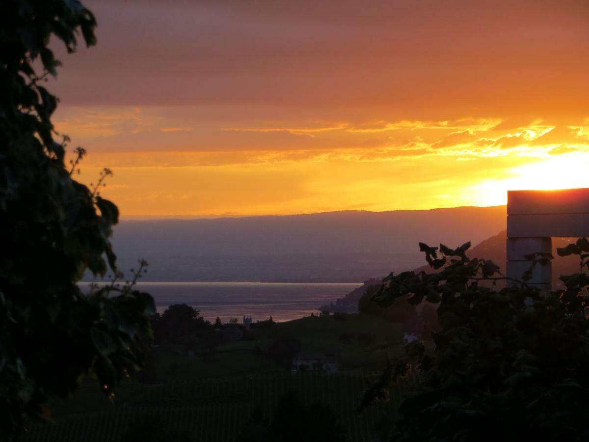 Maison Familiale A Montreux Avec Vue Sur Le Lac Villa Eksteriør bilde